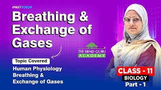 Biology Class 11 Breathing amp Exchange of Gases  Part 1 neet 2024 [upl. by Akeihsal13]