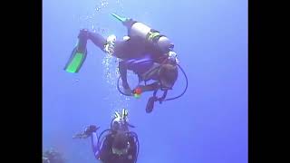 Diving Adventures in Bonaire  Toucan Diving Team at Plaza Resort Bonaire  2000s  Video 01 [upl. by Suiluj]