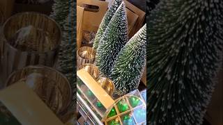 Hornbach Kerst Mini Shoplog 2024🎄 [upl. by Sisile873]