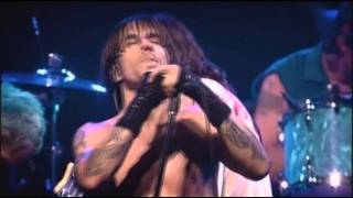 Red Hot Chili Peppers  Californication  Live at Olympia Paris [upl. by Aeslahc]