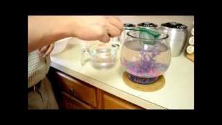 How To Clean A Fishbowl [upl. by Onek]