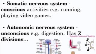 Animal Responses  ALevel A2 Biology Revision [upl. by Damas329]