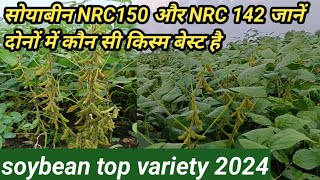 सोयाबीन NRC150 और NRC 142 जानें दोनों में कौन सी किस्म बेस्ट है  soyabean ki kheti [upl. by Eilime]