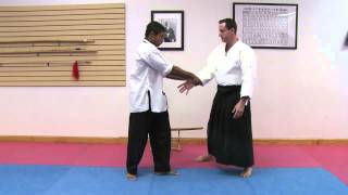 Aikido White Belt Techniques [upl. by Nairde516]