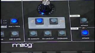 Moog Little Phatty Analog Synthesizer [upl. by Semajwerdna560]