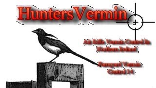 Air Rifle Hunting Farmyard Vermin control 14 Jan 2013 [upl. by Nas372]