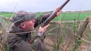 The Shooting Show  goose double bill and gamekeepers stalk Chinese water deer [upl. by Enimisaj510]