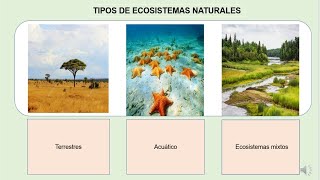 Ecosistemas terrestres y acuáticos Contenido semana 3 [upl. by Joellen]