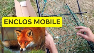 🐓 ENCLOS  CLOTURE POULAILLER MOBILE POUR POULES AU JARDIN EN PERMACULTURE [upl. by Taryne]