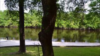 Givhans Ferry State Park near Charleston SC [upl. by Eeclehc]