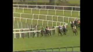 1987 SGB Handicap Chase [upl. by Uyr467]