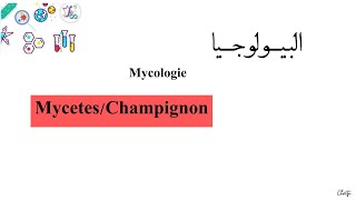 درس ميكولوجي  L3  Microbiologie Mycologie MycetesChampignon [upl. by Knudson]