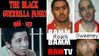 Bamm Bamm Raw TV Season 01 Ep 26  CoFounder of The Dead Man Incorporation Perry Roark [upl. by Atnuahsal]