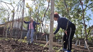 Continuam sa ne construim paradisul Plantarea semintelor Descoperirea unui gust de cafea [upl. by Levania]