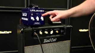 Bad Cat Amps Unleash Demo [upl. by Yasmar]