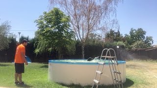 Dog Refuses To Leave Pool [upl. by Alyose]