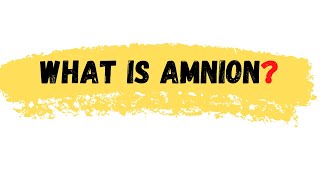 What is Amnion  Amnion Definition  Amnion meaning  Amnion [upl. by Dazhehs]