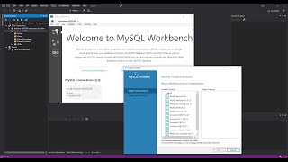 MySQL Database for Visual Studio  Getting Started [upl. by Siberson]