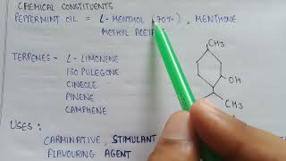 Volatile oils Mentha  mentha in pharmacognosy  chemical constituents of mentha  uses of mentha [upl. by Ellicott86]