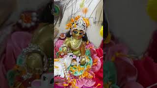 Sorboto Mongolo Radhe❤shortsyoutubeshortsviralvideoviralshortsjoyshreekrishnaराधा कृष्ण🌿 🙏🙌🌹❤ [upl. by Paloma]