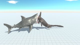 MEGALODON VS ALL UNITS  Animal Revolt Battle Simulator [upl. by Dotty608]