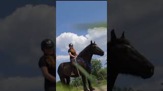 More info in the comments🥰 horse bitless equestrian dreamcomestrue dream horsemanship [upl. by Aillij]