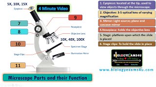 From Lenses to Stage clips 12 parts of Compound Microscope and Function in 4 minutes [upl. by Esinyt]