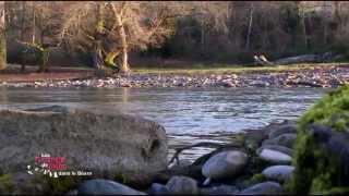 Le Béarn  Les carnets de Julie [upl. by Seek461]