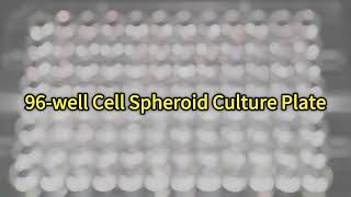 Cell spheroids culture plate [upl. by Allenrac]