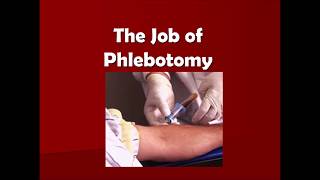 quotSo You Want To Be A Phlebotomistquot [upl. by Enala]