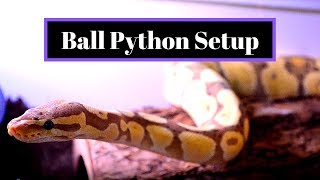 Ball Python Setup  Cheap and Easy Enclosure Guide [upl. by Amo]