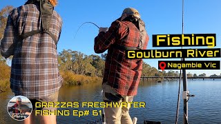 Murray Cod Fishing  Gouburn River Nagambie [upl. by Judie280]