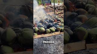 Why Are They Burning These Coconuts [upl. by Illah]