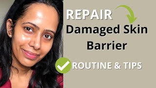 REPAIR Damaged Skin Barrier with this Skincare Routine and Tips  All Skin types [upl. by Inalaehak]