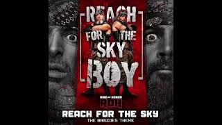 Reach For The Sky The Briscoes ROH Theme [upl. by Yraccaz]