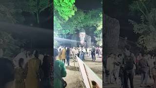 Gorilla theme Ganpati 🙏 Darshan 🌺🙏🙏 Nagpurshortvideo Ganpati Bappamorya [upl. by Tirma]