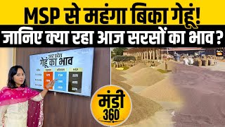 Wheat Price Today मंडी में MSP से महंगे बिक रहे हैं गेहूं जानिए क्या रहा सरसों का दाम Kisan Tak [upl. by Sivert283]