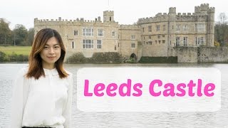 Leeds Castle利茲城堡Kent EnglandLoveliest Castle and Maze [upl. by Nicholl788]