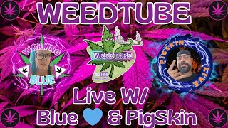 WeedTube Live LIVE LIVESTREAM WEEDSTREAM 420 SMOKEWEED [upl. by Hsima]