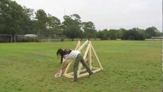 Catapults and Trebuchets for Physics [upl. by Strepphon]