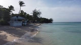 Mullins Beach Seashed Restaurant Royal Westmoreland beachclub St Peter Barbados [upl. by Anahahs]