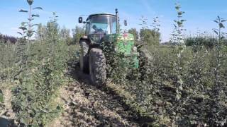 De boomkwekerij Onkruidbestrijding tussen jonge fruitbomen [upl. by Kauffmann]