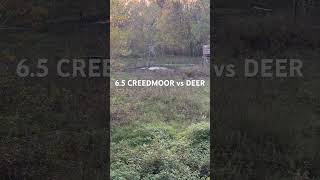 65 CREEDMOOR vs DEER [upl. by Ed]