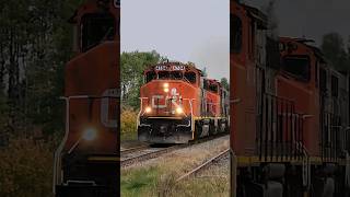 Three GP38 Locomotives leads CN L569 Past Kent Junction NB [upl. by Debra]