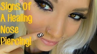 Signs of a Healing Nose Piercing [upl. by Treva]