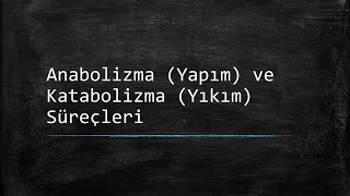 Anabolizma Yapım ve Katabolizma Yıkım Süreçleri ‐ Ders Notlarım [upl. by Ursa88]