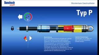 Blokkeerbare gasveren Type P [upl. by Edie]