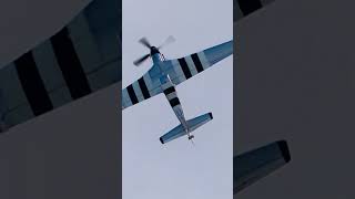 P51 Mustang whistle Full video link in description shorts [upl. by Ellednahs]