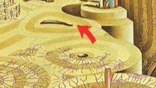 The Structure of Bone [upl. by Selohcin]