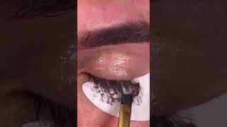 Lash tinting using tatti lashes new tint browtint lashtint lashes tinting [upl. by Roderigo220]